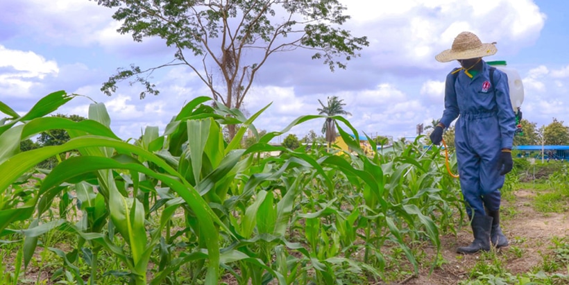 Youth in Agribusiness: Why Cooperatives Matter More Than Ever
