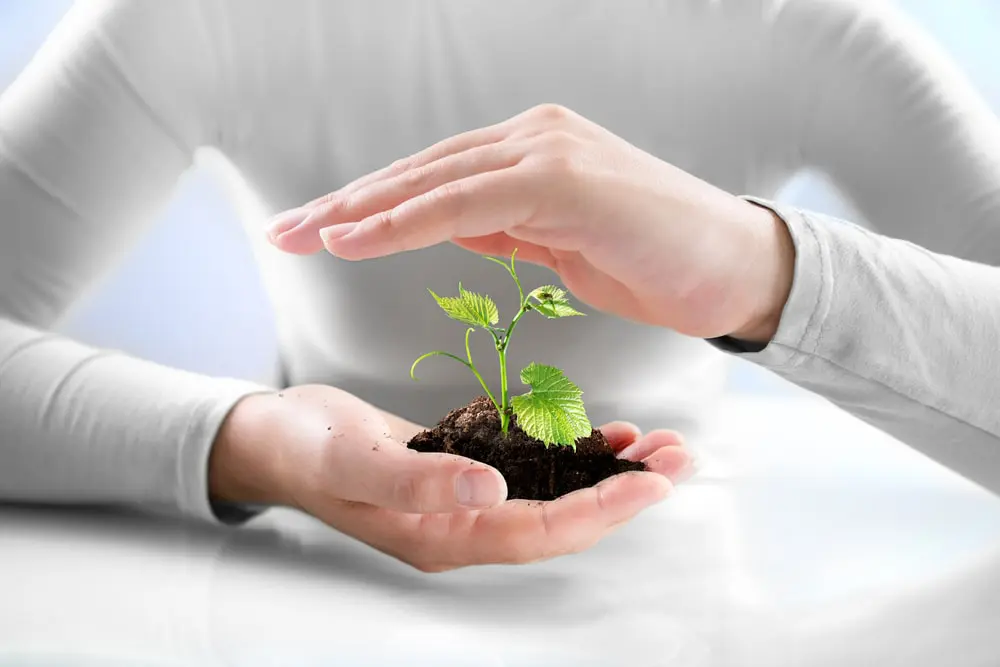 Agricultural Insurance for Cooperative Farmers: What You Need to Know